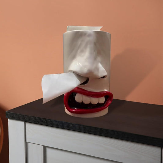Handmade Funny Face Tissue Holder